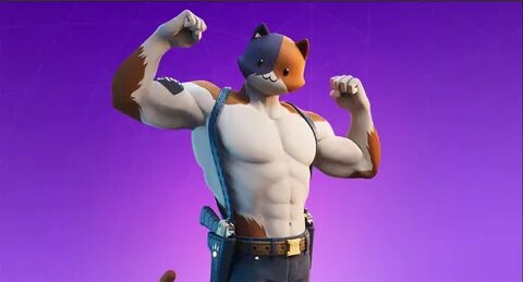 Fortnite fans are cosplaying as Meowscles using real cats - 