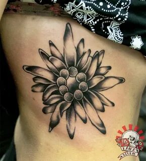 edelweiss tattoo Idee per tatuaggi, Stile tatuaggio, Inchios