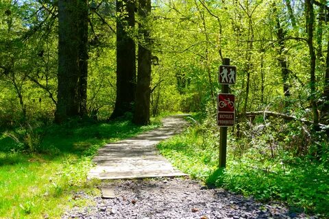 File:Hiking trail in the Silver Falls State Park Campground.