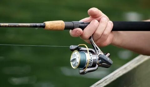 Best Spinning Reel for Saltwater and Freshwater Fishing Atbu