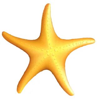 Clipart images of starfish Adesivos para fotos, Fotos de ade