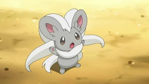 Pokemon Sword and Shield: How to Evolve Minccino Into Cincci