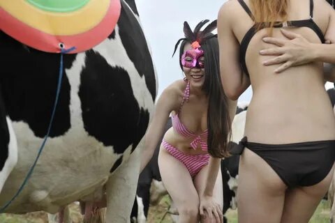 china, Chinese, asian, bikini, model, weird, cow, animal, utter, nn, nonnud...