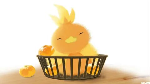 Pokemon - Torchic HD wallpaper download