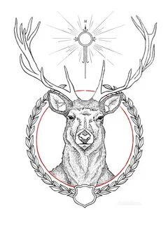 Deer Eye Drawing at GetDrawings Free download