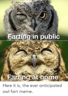 Farting in Public Farting at Home Made With Mematic Here It 