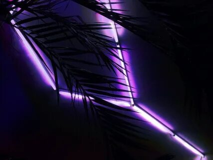 purple glows Purple aesthetic, Neon aesthetic, Neon purple