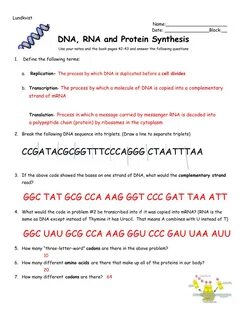 Protein Synthesis Worksheets Answer Key