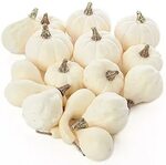 Amazon.com: artificial gourds and pumpkins