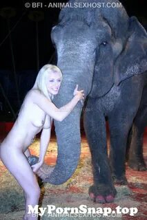 Masivve elephant and girls porn sex