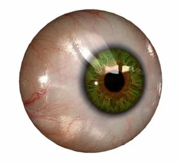 #eye #green #greeneyes #realistic #freetoedit - Human Eyes T