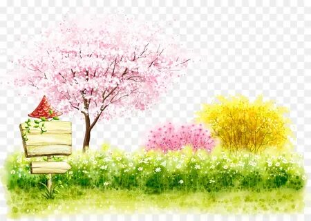 Cherry Blossom Tree png download - 4961*3508 - Free Transpar