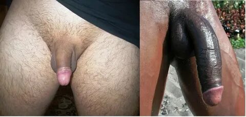 Which cock should my wife choose to fuck her holes - 20 Pics