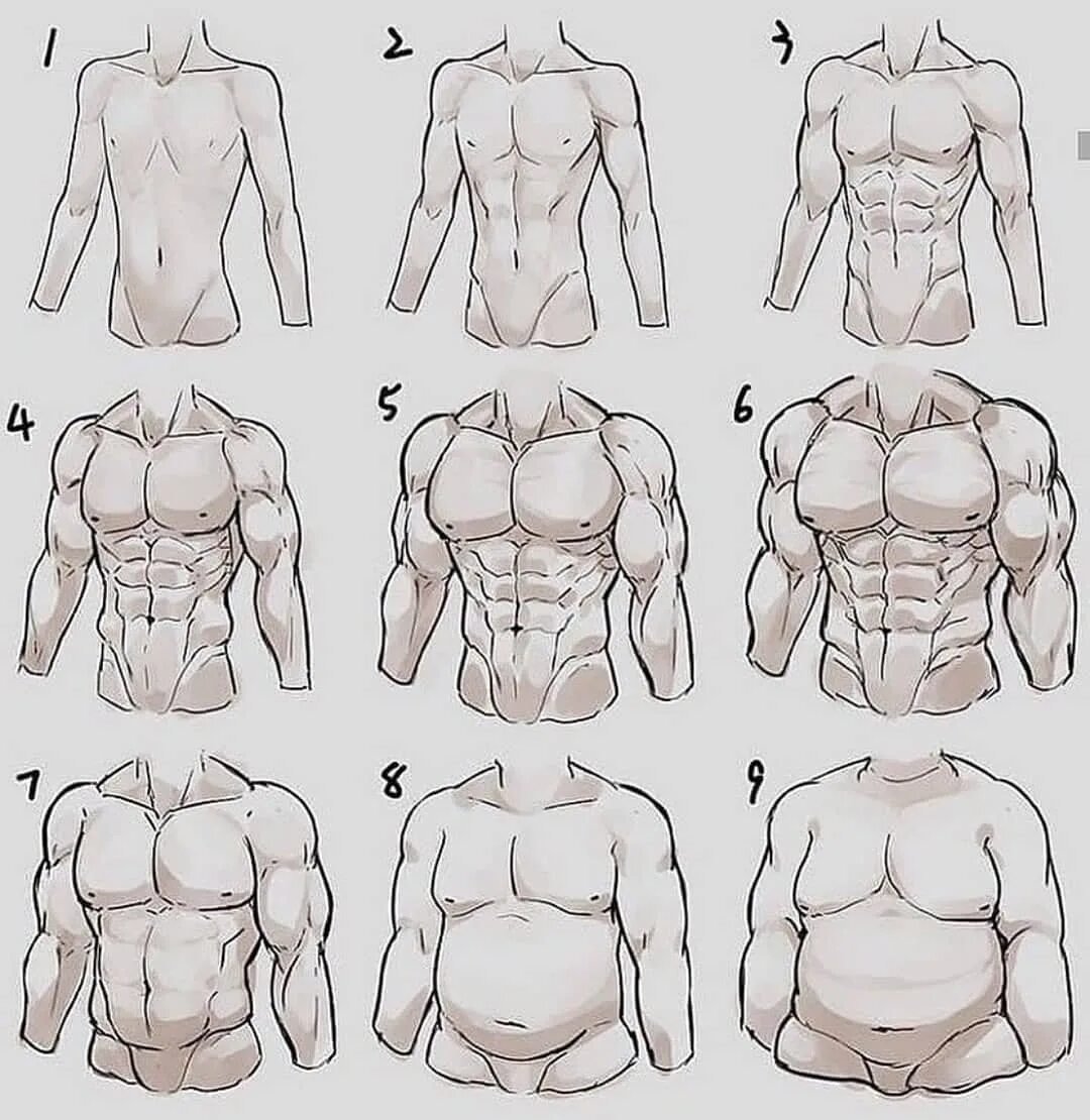 Art Tips And Tricks on Instagram: "Body Types References 💥 What'...