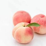 White Peach Flavour - Einar Willumsen