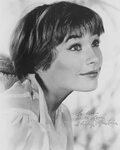 Classic Legends Shirley maclaine, Movie stars, Shirley