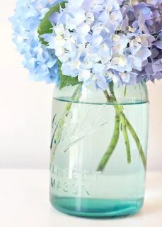 Tip to Keeping Cut Hydrangeas Looking Fresh.... - Love of Fa