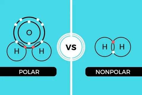 Polar and Nonpolar Covalent Bonds: Characteristics & Differe