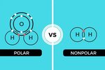 Polar and Nonpolar Covalent Bonds: Characteristics & Differe
