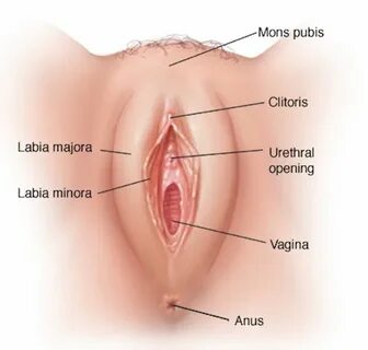 Vagina Esthetics - Önol Üroloji