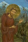 "St Francis of Assisi with Birds of Aotearoa" St francis, Sa