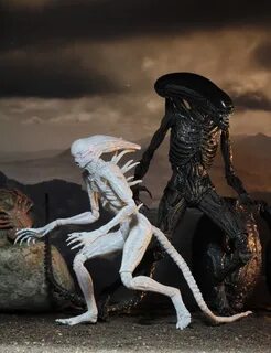 NECA Reveals Neomorph & Xenomorph Alien Covenant Figures - A