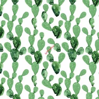 Wallpaper DEKORNIK Cactus - banaby.co.uk