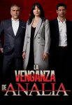 Serie La Venganza de Analía 2020 gratis Venganza, Novelas co