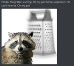Cat On Cheese Grater Meme - tracepooldesign