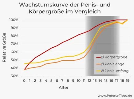 Penis größen vergleich.