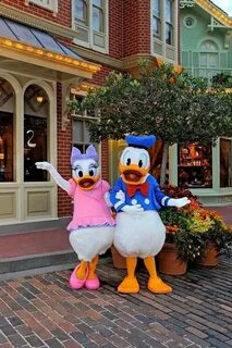 Donald & Daisy Cute disney pictures, Disney world characters