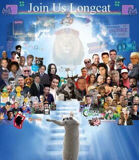Join us Longcat Meme Heaven Know Your Meme