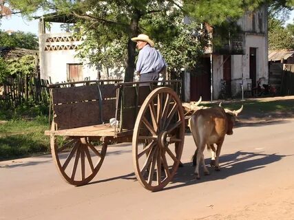 Ficheiro:Paraguay carreta.jpg - Wikipédia, a enciclopédia li