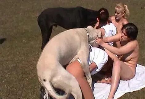 Bestiality Orgy ::. - Outdoors group orgy with a huge great 
