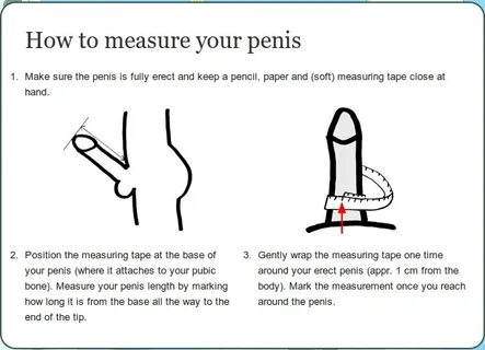 How to Measure Penis Guide on How to Measure Penis Length & 