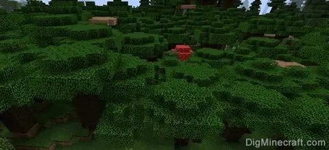 Roofed Forest Growing tree, Biomes, Saplings
