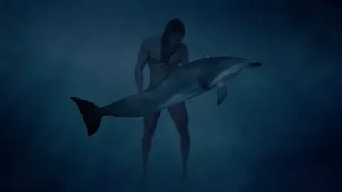 Секс С Дельфинами Истории