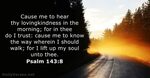 July 19, 2016 - Bible verse of the day (KJV) - Psalm 143:8 -