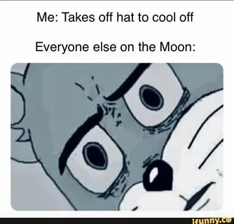 Me: Takes off hat to cool off Everyone else on the Moon: - i