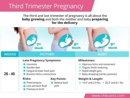 Pregnancy 3rd Trimester - Pregnancy Sympthom