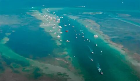 Islamorada Sandbar - Islamorada