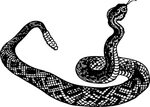 Black Mamba Clipart Open Mouth - Snake Clip Art - Png Downlo
