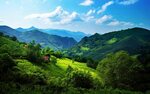 Green hills 1 Wallpapers Pictures Italy landscape, Landscape
