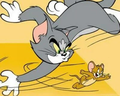 Wallpaper: Tom And Jerry, Cartoon, Cat, Mouse, Animals, Runn