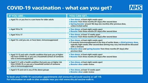 Covid vaccine persuasive essay