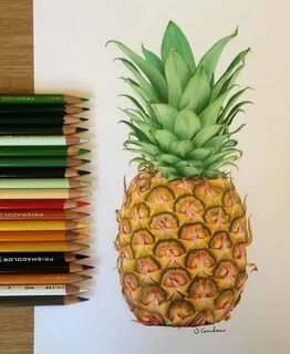 Pin by Татьяна Панова on Drawing Pineapple drawing, Fruits d