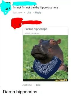 I'm Not l'M Not the the Hippo Crip Here Just Now Like Reply 