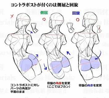 Female: Back Female anatomy reference, Anatomy tutorial, Ana