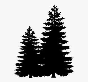 Clip Art Portable Network Graphics Pine Tree Image - Pine Tr