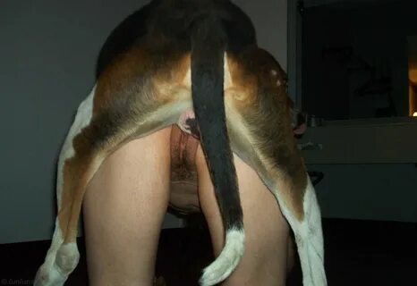 Dog Fuck Amateur - Porn Sex Photos